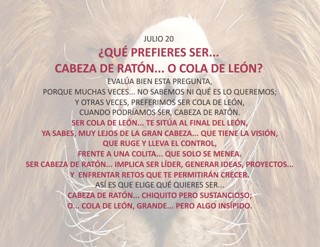 ¿Que prefieres ser... cabeza de ratón... o cola de león?